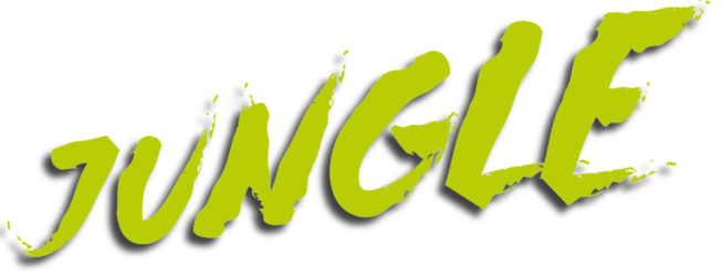 Jungle Productions - Film- und Service Production - Innsbruck - Tyrol